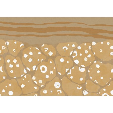 A sivatag felszíne alatti világ megjelenése barna szürkésbarna sárgásbarna és fehér tónusok falpanel/digitális nyomat