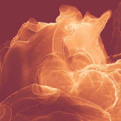 Fény Melegség Érzékiség - Hömpölygő nonfiguratív grafikus motívum vörös vörösesbarna és sárga falpanel/digitális nyomat