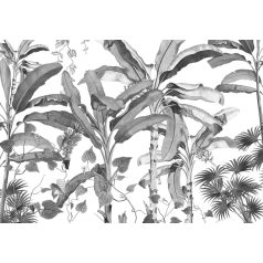   A trópusi felületek növekedése szemmel látható - Monokróm botanikus design fehér szürke és fekete falpanel/digitális nyomat