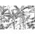 A trópusi felületek növekedése szemmel látható - Monokróm botanikus design fehér szürke és fekete falpanel/digitális nyomat