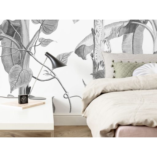 A trópusi felületek növekedése szemmel látható - Monokróm botanikus design fehér szürke és fekete falpanel/digitális nyomat