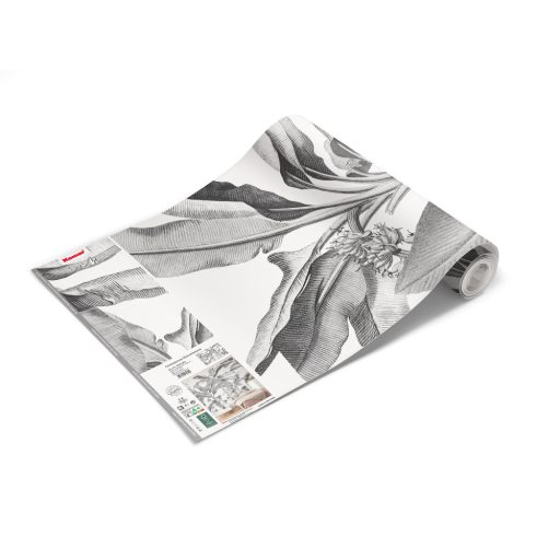 A trópusi felületek növekedése szemmel látható - Monokróm botanikus design fehér szürke és fekete falpanel/digitális nyomat