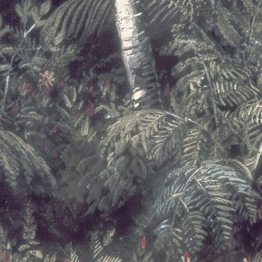 Hódítóknak és kalandoroknak - Robinson Crusoe trópusi szigetét idéző minta szürke zöld lila fehér és felhőkék falpanel/digitális nyomat