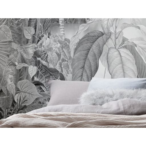 Csendes és misztikus tó a dzsungelben monokróm megjelenés fehér szürke és fekete tónus falpanel/digitális nyomat