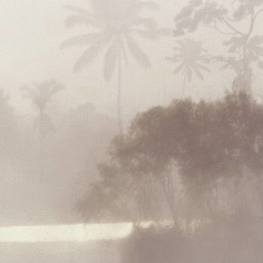 Idilli trópusi táj ködpárás tóval pálmákkal és dzsungelnövényekkel ködfehér bézs barna szürke zöld és felhőkék falpanel/digitális nyomat