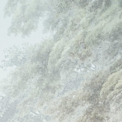 Idilli trópusi táj ködpárás tóval pálmákkal és dzsungelnövényekkel ködfehér bézs barna szürke zöld és felhőkék falpanel/digitális nyomat