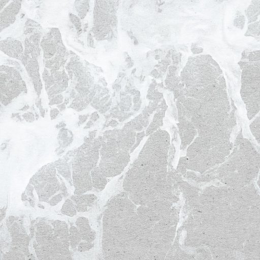 Vad és habzó óceáni hullámok madártávlatból fehér és szürke tónusok falpanel/digitália nyomat