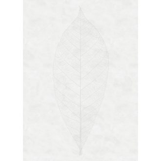   Diszkrét és decens felnagyított levél finom szerkezete szürkésfehér és szürke tónusok falpanel/digitális nyomat