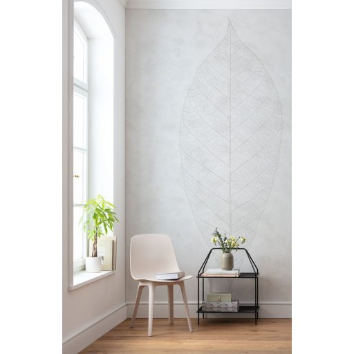 Diszkrét és decens felnagyított levél finom szerkezete szürkésfehér és szürke tónusok falpanel/digitális nyomat