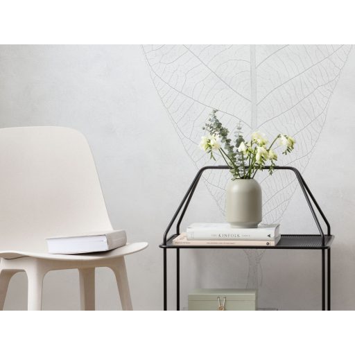 Diszkrét és decens felnagyított levél finom szerkezete szürkésfehér és szürke tónusok falpanel/digitális nyomat