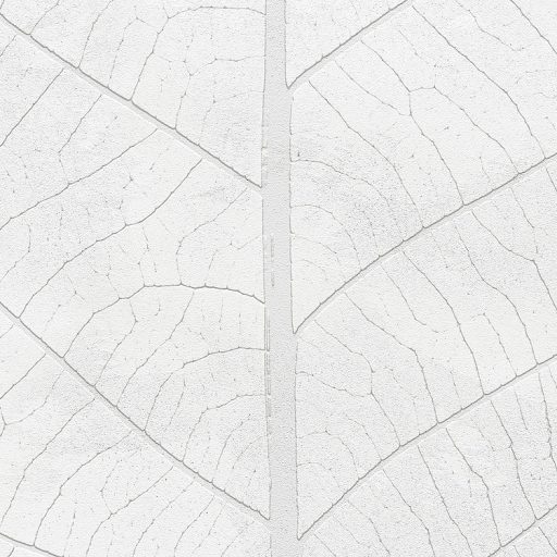 Diszkrét és decens felnagyított levél finom szerkezete szürkésfehér és szürke tónusok falpanel/digitális nyomat