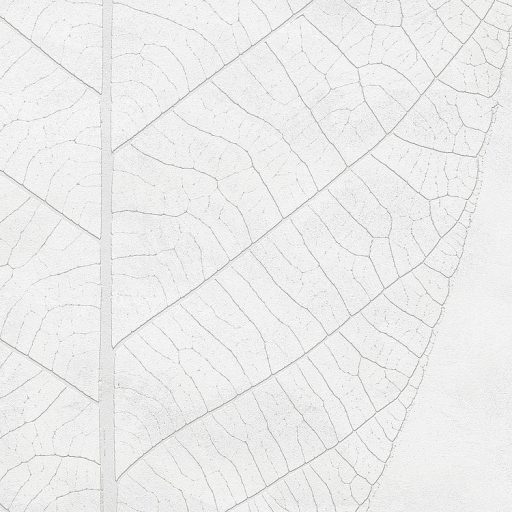 Diszkrét és decens felnagyított levél finom szerkezete szürkésfehér és szürke tónusok falpanel/digitális nyomat