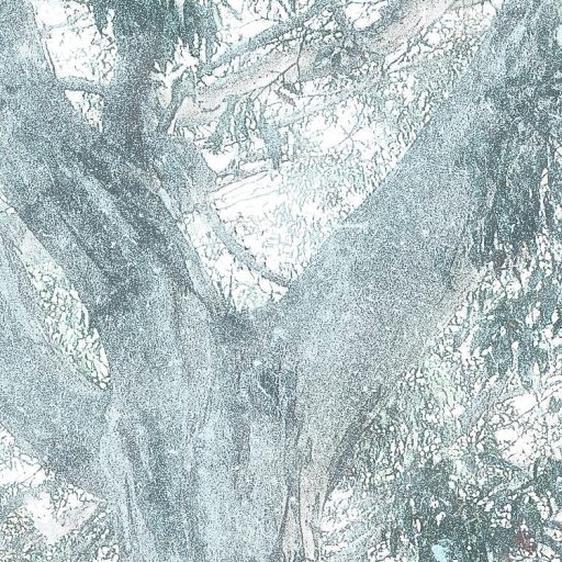 Misztikus és titokzatos öreg fák ködfátyolban ködfehér zöld kék szürke és bézs tónusok falpanel/digitális nyomat