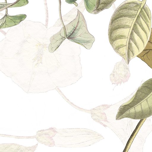 Látszólag egyszerű mégis nagyszerű - Borostyán indák és levelek kúsznak a falon krémfehér bézs zöld és barna falpanel/digitális nyomat