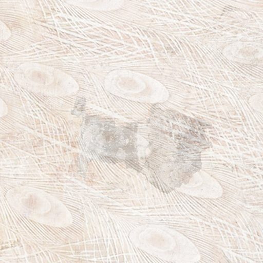 Mint egy festmény! A növény és állatvilág kollázsa fehér pávával beton háttéren szürke barna zöld és fehér falpanel/digitális nyomat