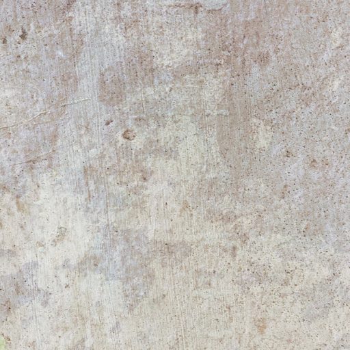 Mint egy festmény! A növény és állatvilág kollázsa fehér pávával beton háttéren szürke barna zöld és fehér falpanel/digitális nyomat