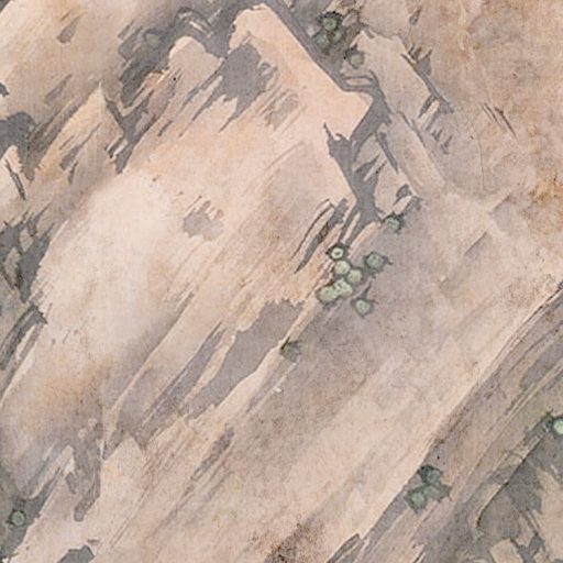 Mint egy festmény! A növény és állatvilág kollázsa fehér pávával beton háttéren szürke barna zöld és fehér falpanel/digitális nyomat