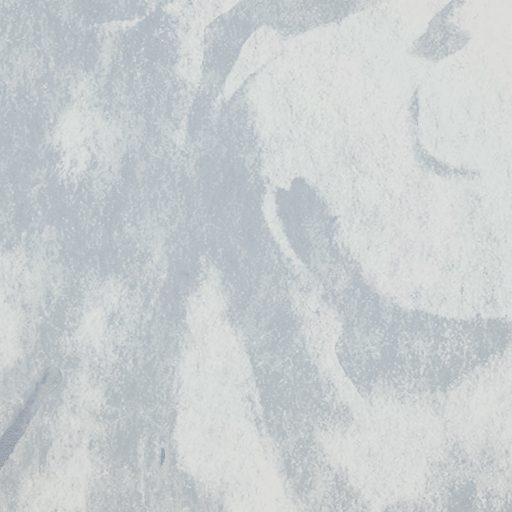 Finom plasztikus mellszobor tűnik ki a homályos háttérből törtfehér szürke kék és szürkéslila tónusok falpanel/digitális nyomat