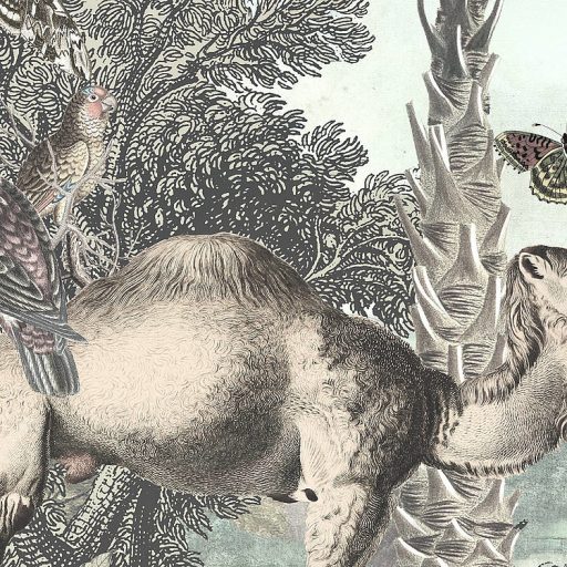 Sivatag a szavanna és a dzsungel állatainak "konferenciája" egzotikus kollázs szürkészöld szürke barna sokszínű falpanel/digitális nyomat