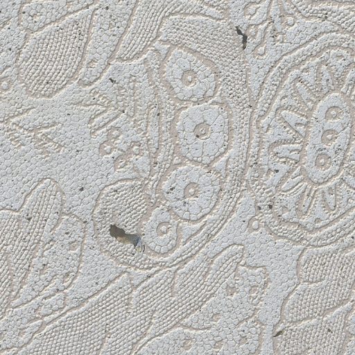 Barokk stílusú filigrán csipkedíszek beton háttéren szürke bézs sötétszürke/szürkésbarna tónusok falpanel/digitális nyomat