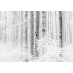   Lenyűgöző szépségű téli erdő plasztikus ábrázolása hófehér szürke és fekete tónus falpanel/digitális nyomat
