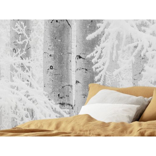 Lenyűgöző szépségű téli erdő plasztikus ábrázolása hófehér szürke és fekete tónus falpanel/digitális nyomat