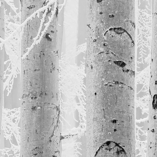 Lenyűgöző szépségű téli erdő plasztikus ábrázolása hófehér szürke és fekete tónus falpanel/digitális nyomat