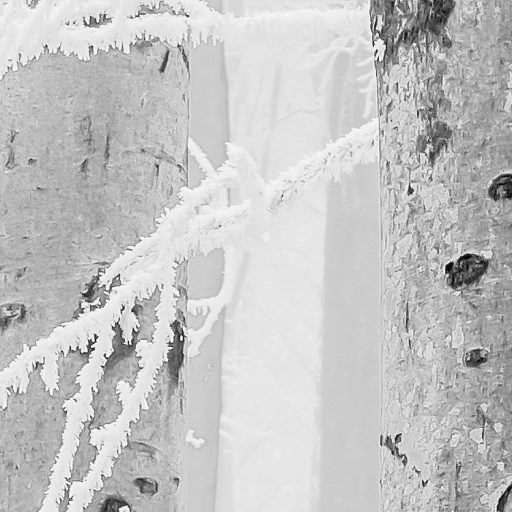 Lenyűgöző szépségű téli erdő plasztikus ábrázolása hófehér szürke és fekete tónus falpanel/digitális nyomat