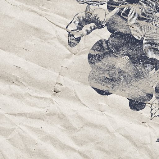 Nosztalgikus virágmotívum - Mintha a virág és növényhatározóból lépne elő fehér szürke és szürkéskék tónusok falpanel/digitális nyomat