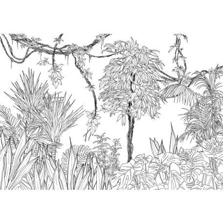 Egy Tarzan képregényre emlékeztető modern grafikus monokróm dzsungel minta fehér és fekete tónus falpanel/digitális nyomat
