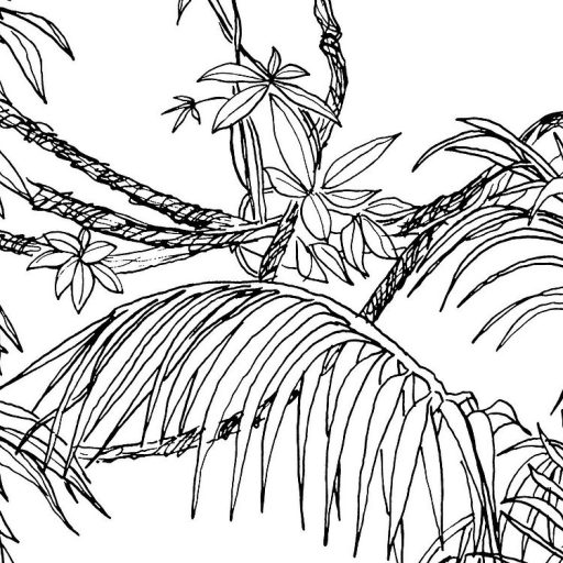 Egy Tarzan képregényre emlékeztető modern grafikus monokróm dzsungel minta fehér és fekete tónus falpanel/digitális nyomat