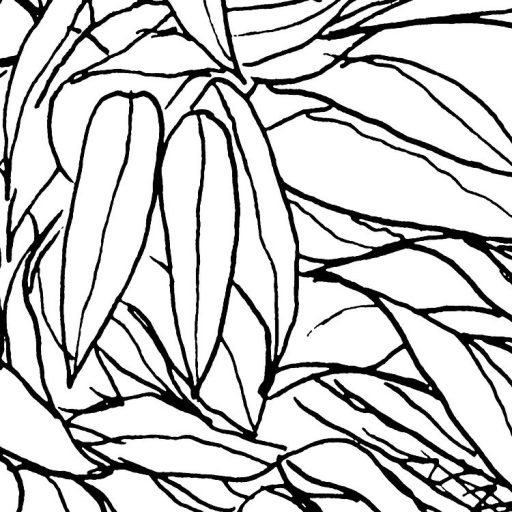 Egy Tarzan képregényre emlékeztető modern grafikus monokróm dzsungel minta fehér és fekete tónus falpanel/digitális nyomat