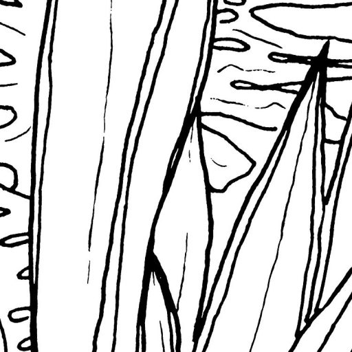 Egy Tarzan képregényre emlékeztető modern grafikus monokróm dzsungel minta fehér és fekete tónus falpanel/digitális nyomat