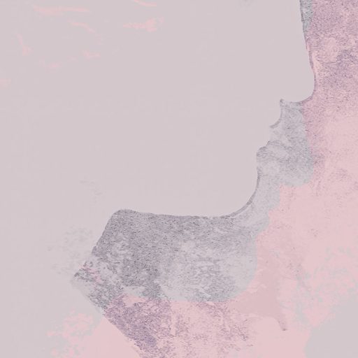 Három titokzatos Nimfa misztikus körtánca a reggeli rózsaszín ködben szürke rózsaszín lila antik rózsaszín falpanel/digitális nyomat