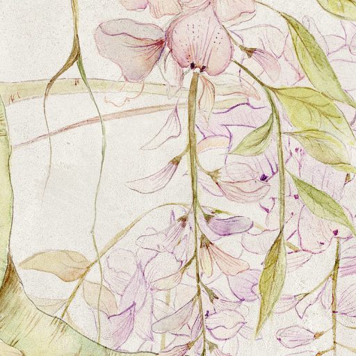 Kínai lilaakác levélzete és virágzata terjed a betonfalon pompás illatfelhőben bézs zöld rózsaszín és lila falpanel/digitális nyomat