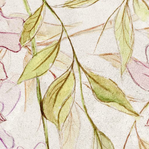 Kínai lilaakác levélzete és virágzata terjed a betonfalon pompás illatfelhőben bézs zöld rózsaszín és lila falpanel/digitális nyomat