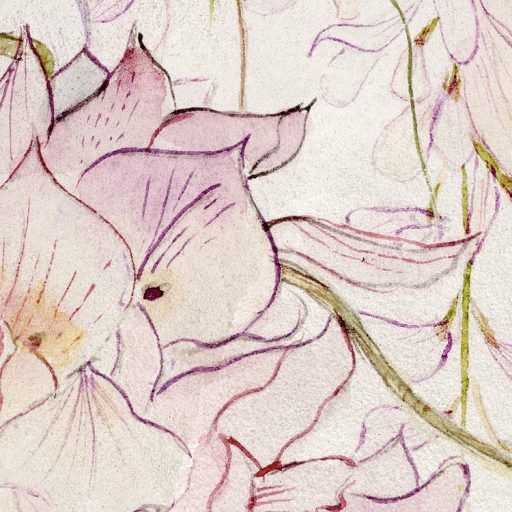 Kínai lilaakác levélzete és virágzata terjed a betonfalon pompás illatfelhőben bézs zöld rózsaszín és lila falpanel/digitális nyomat