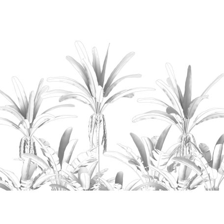 Egzotikus trópusi növények plasztikus monokróm megjelenítésben fehér szürke és sötétszürke tónusok falpanel/digitális nyomat