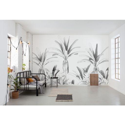 Egzotikus trópusi növények plasztikus monokróm megjelenítésben fehér szürke és sötétszürke tónusok falpanel/digitális nyomat