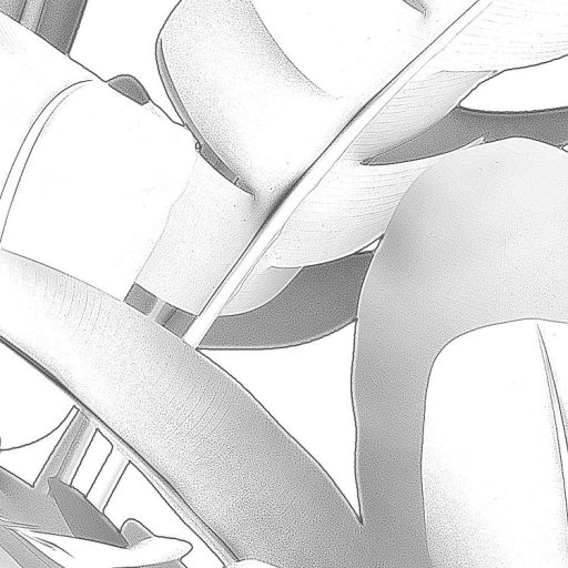 Egzotikus trópusi növények plasztikus monokróm megjelenítésben fehér szürke és sötétszürke tónusok falpanel/digitális nyomat