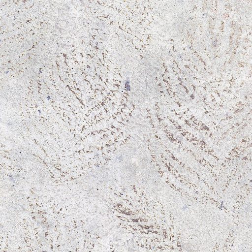 Pasztellszínű tollak kollázsa - Könnyedség és fantázia a lakótérben szürke bézs sötétszürke barna és kék falpanel/digitális nyomat