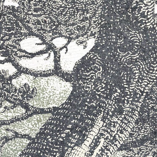 Varázslatos tündér vagy akár Fantasy erdő felhőkék szürke barna zöld sárga és szürkészöld tónusok falpanel/digitális nyomat