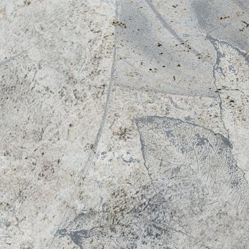 Fosszília! Virágok és levelek lenyomata - filigrán mozaiknak tűnnek szürkésfehér szürke bézs barna és fekete falpanel/digitális nyomat