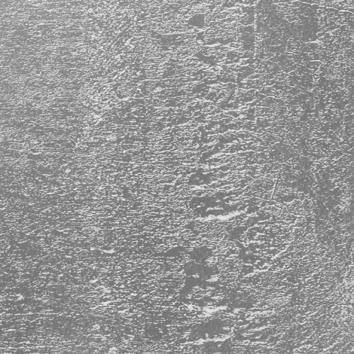 Már-már művészi beton megjelenítés szürke szürkésfehér és ezüst/fehérezüst tónusok XL falpanel/digitális nyomat