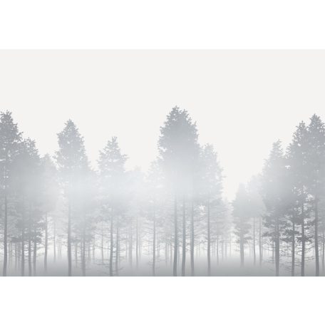 Ezüstszürke köd felszállóban az erdő fái között ködfehér fehér ezüst és szürke tónusok falpanel/digitális nyomat