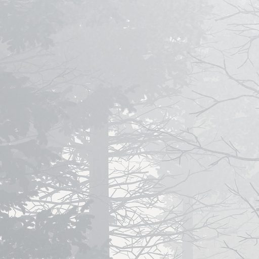Ezüstszürke köd felszállóban az erdő fái között ködfehér fehér ezüst és szürke tónusok falpanel/digitális nyomat