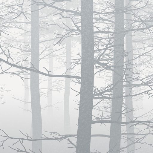 Ezüstszürke köd felszállóban az erdő fái között ködfehér fehér ezüst és szürke tónusok falpanel/digitális nyomat