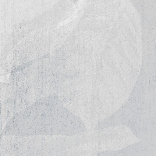 Botanikai aláfestés - Szürke tónusú levelek virágok kúsznak a falon szürkésfehér szürke és ezüst/fehérezüst falpanel/digitális nyomat