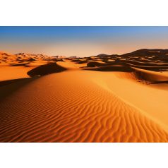   Wizard + Genius WG976 Desert Landscape sivatagi táj óriás vliesposzter
