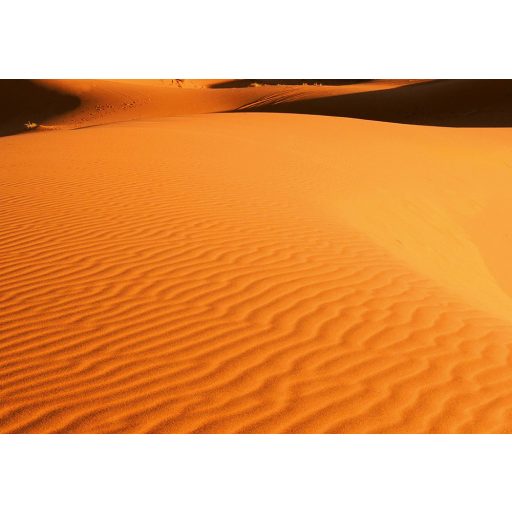 Wizard + Genius WG976 Desert Landscape sivatagi táj óriás vliesposzter